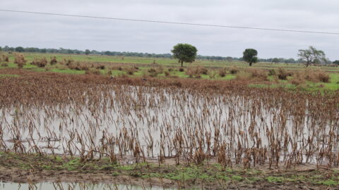 EXTREMOS CLIMÁTICOS PERSISTEM EM MOÇAMBIQUE