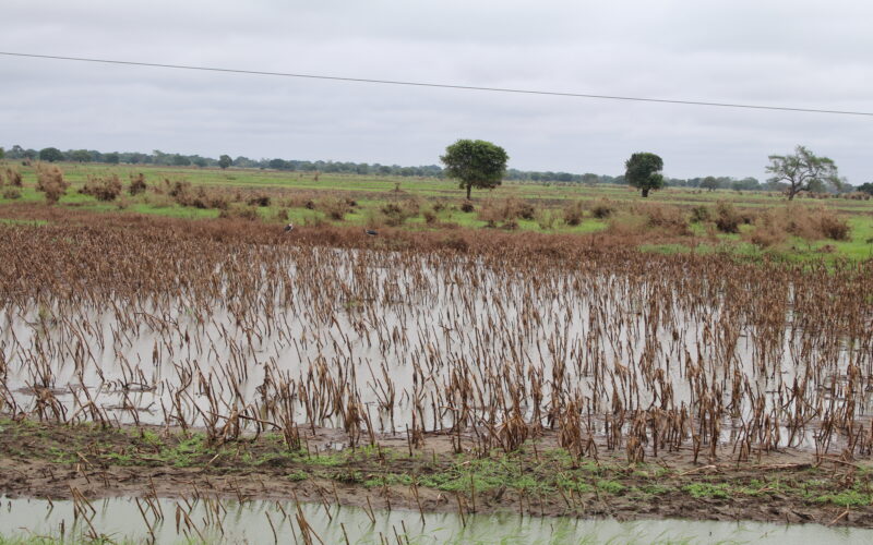 EXTREMOS CLIMÁTICOS PERSISTEM EM MOÇAMBIQUE