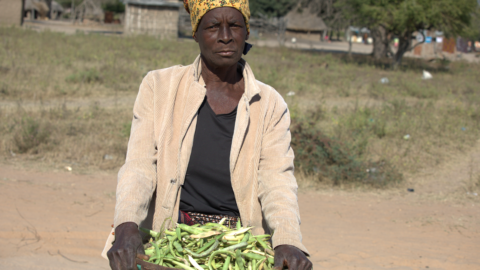 MAIS DE UMA CENTENA DE MILHARES DE CRIANÇAS E MULHERES GRÁVIDAS ESTÃO EM RISCO DE DESNUTRIÇÃO EM MOÇAMBIQUE
