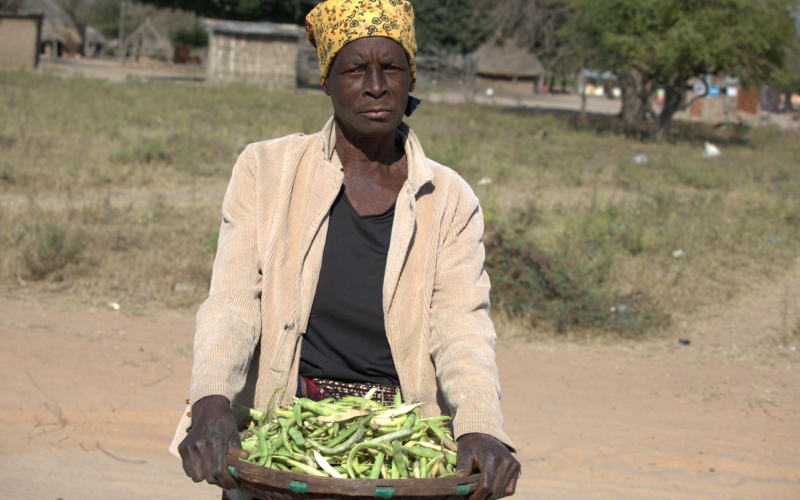 MAIS DE UMA CENTENA DE MILHARES DE CRIANÇAS E MULHERES GRÁVIDAS ESTÃO EM RISCO DE DESNUTRIÇÃO EM MOÇAMBIQUE