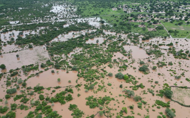 311 VIDAS PERDIDAS, 1,07 MILHÃO DE PESSOAS AFECTADAS NA ÉPOCA CHUVOSA DE 2025/2026
